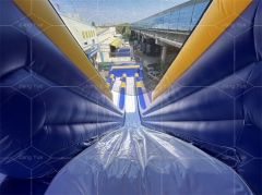 Big Outdoor Inflatable Hippo Water Long Slide for Beach Playground Park