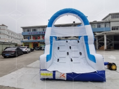 Water Play Equipment Dolphin Inflatable Water Slide for Swimming Pool