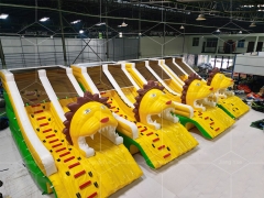 New Style Factory Sale Giant Tiger Inflatable Water Pool Slide for Kids and Adult