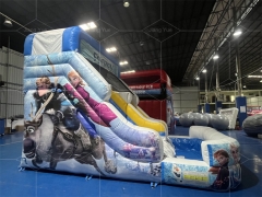 Frozen Double Splash Water Slide