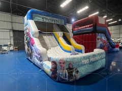 Frozen Double Splash Water Slide